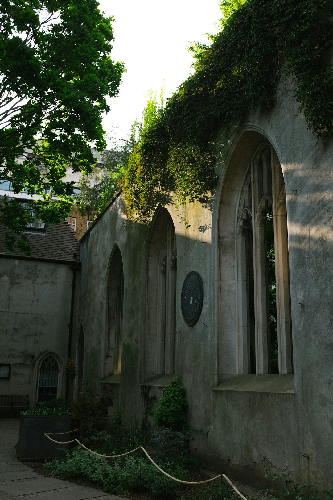 nature reclaiming urban ruins